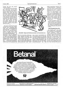 betanal1969