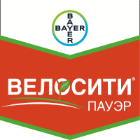 Велосити гербицид. Велосити Пауэр гербицид. Велосити Пауэр гербицид фото.